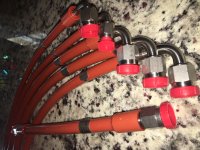 hoses.JPG