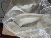 IMG_1265.jpeg