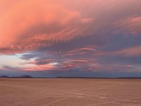 IMG_1046.jpg