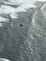 IMG_9015.jpeg