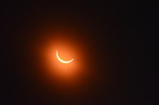 DSC_0336.JPG
