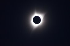 DSC_0373 (1).JPG