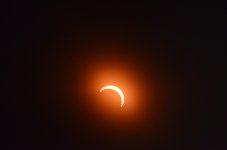 DSC_0381 (1).JPG