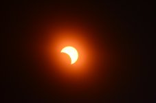 DSC_0410.JPG