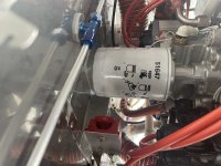 IMG_3303.jpeg
