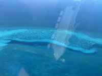 IMG_2146.jpeg