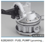 lyc p.png