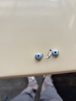 IMG_6939.jpeg
