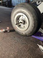 IMG_3799.jpeg
