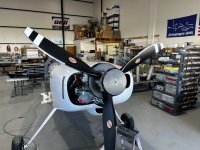 IMG_7087.jpeg