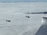 IMG_1451.jpeg