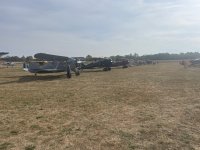 IMG_3884.jpeg