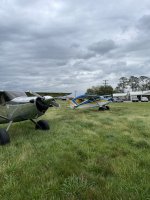 IMG_2895.jpeg
