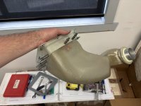 IMG_2899.jpeg