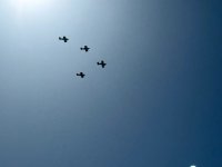 IMG_0828.jpeg