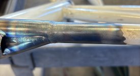 IMG_6981.jpeg