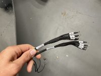IMG_1183.jpeg