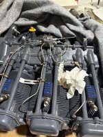 IMG_2307.jpeg