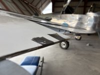 IMG_5856.jpeg