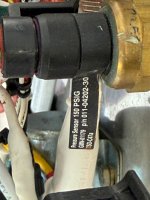 IMG_1961.jpeg