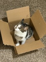 IMG_4479.jpeg
