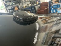 IMG_0668.jpeg