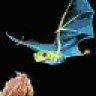 WingedFrog