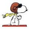 Sled Dawg