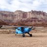 Utah-Jay