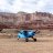 Utah-Jay