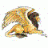 flion